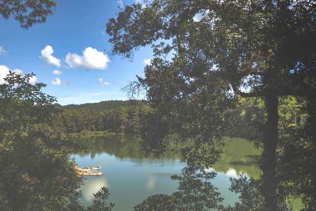 Laguna vista entre las ramas de los árboles