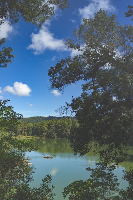 Laguna y cielo con nubes entre los árboles