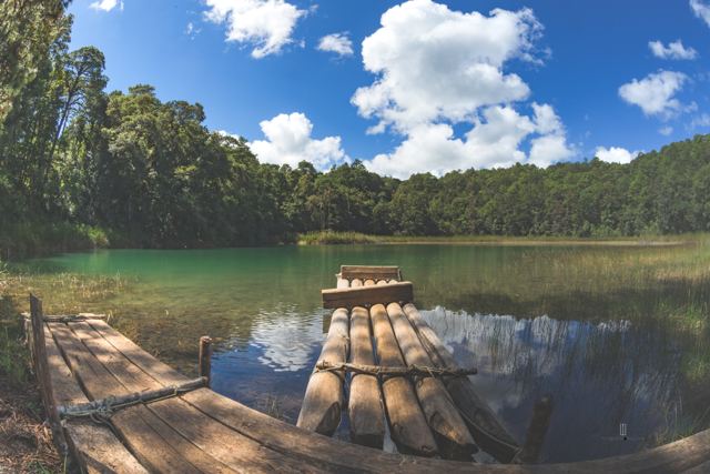Muelle y balsas de troncos en la orilla de una laguna rodeada de bosque