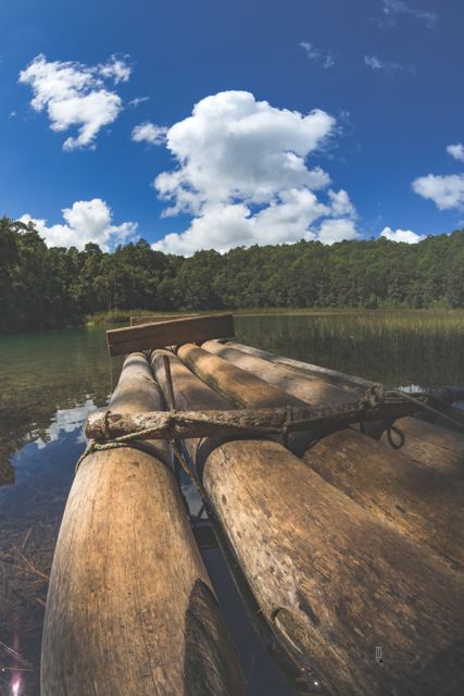 Balsa de troncos frente a una laguna