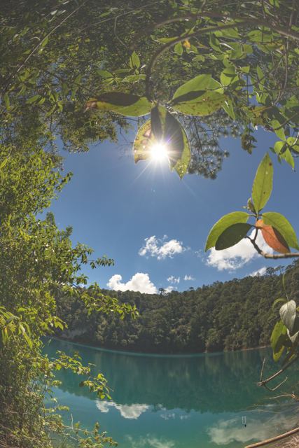 Laguna turquesa vista entre las hojas, con el sol entre las ramas