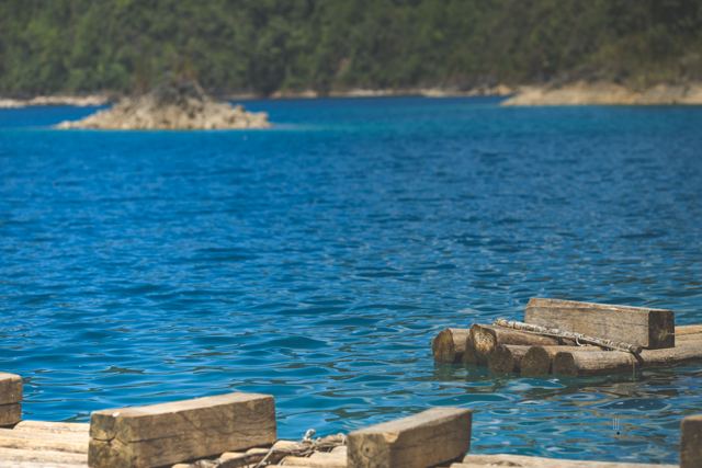 Balsas de troncos en la orilla de una laguna azul con un islote al fondo