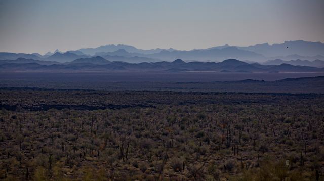 Llanura oscura con vegetación del desierto y sierras azules al fondo