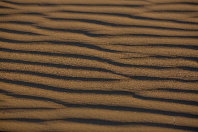 Ondas de arena de cerca
