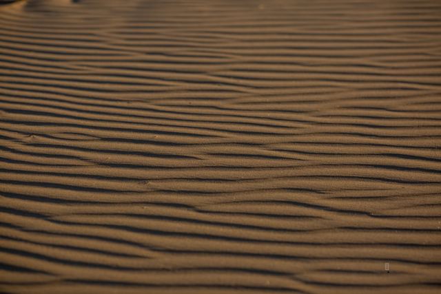 Ondas de arena en una duna