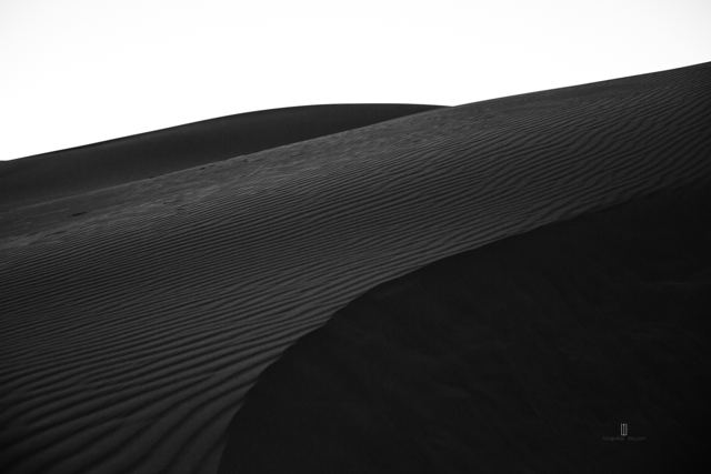 Cresta de una duna en blanco y negro