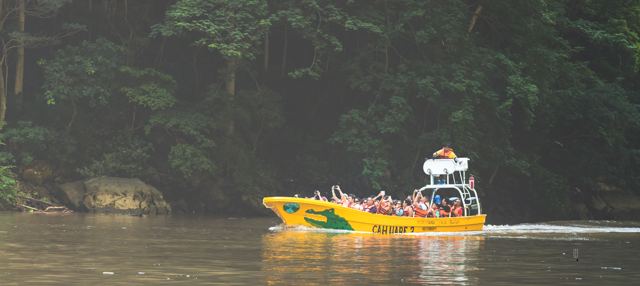 Lancha amarilla con turistas recorriendo el río
